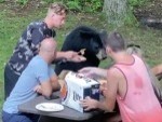 Actual Idiots Picnicking With A Bear
