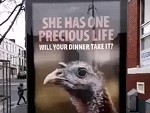 Advertising Billboard Has A Conflict
