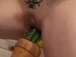 Cactus As A Sexytoy?