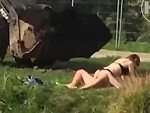 Couple Banging In The Park Amidst Earth Movers
