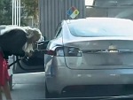 Blonde Woman Trying To Put Fuel In Her Tesla
