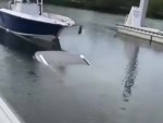 Boat Launch Must've Gone Wrong
