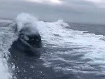 Boaties Treated To A Whale Surfing Their Wake
