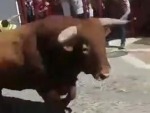 Bull Seizes Upon An Opportunity
