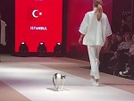 Cat Walk On The Catwalk
