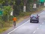Cyclist Gets A Friendly Visit From A Leopard
