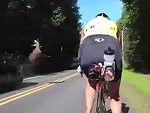 Cyclist Very Nearly Get Taken Out By A Flying Dear
