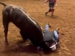 Dad Jumps In To Protect His Son From An Angry Bull
