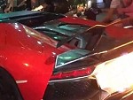 Did You Know Lambos Were Flammable
