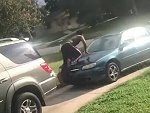 Family Dog Stops Some Arsehole Trying To Steal Their Car
