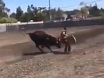 First Time Bull Riding Is Too Fucking Funny
