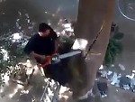 First Time Cutting Down A Tree, Mate?
