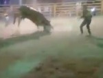 Going To Need A New Bull Rider

