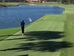 Golfer Takes Out A Passing Duck
