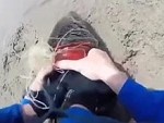 Good Guy Saves A Sealion Tangled In Fishing Line
