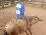 Horse Can't Throw The Rider So Tries Something Else
