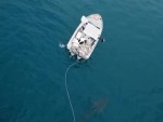 Huge Shark Stalking A Fishing Boat
