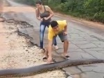 Idiots Feel Free To Mess With Giant Anacondas
