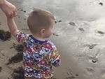 Little Dude Experiences The Dangers Of The Beach
