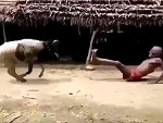 Old Timer Takes On A Goat
