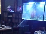Restaurant Aquarium Springs A Leak

