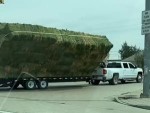 Say Goodbye To Your Hay
