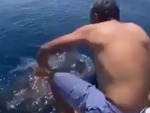 Shit For Brains Rides A Whale Shark
