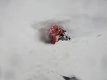 Snow Mobiler Hits Some Soft Powder
