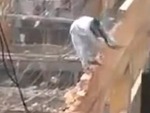 Sure-Footed Demolition Man
