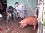 That's Not How To Slaughter A Pig
