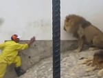 These Lion Handlers Are Clearly Mental

