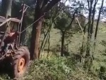 Tree Vs Tractor: Who Will Win?
