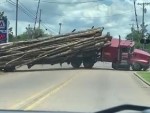 Truck Loses Its Twigs