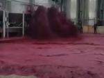 Winemakers Dump A Fuckload Of The Good Stuff
