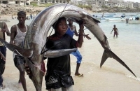 Fisherman In Somalia