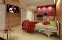 Worlds Most Luxurious Hospital Concept
